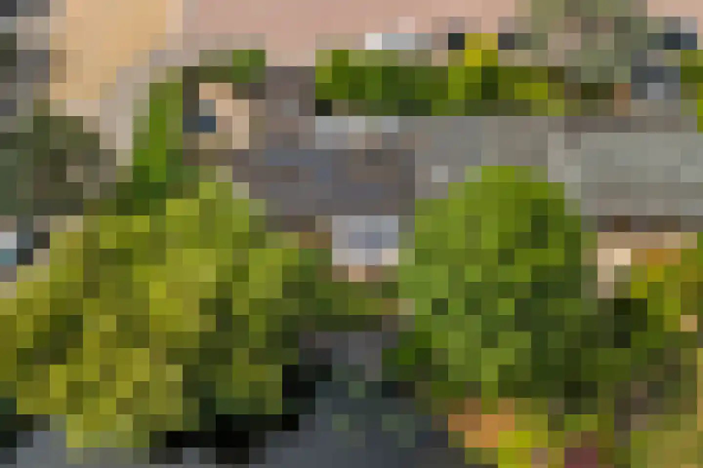 Diederik van Schagenplantsoen 11 Waddinxveen thumbnail 54