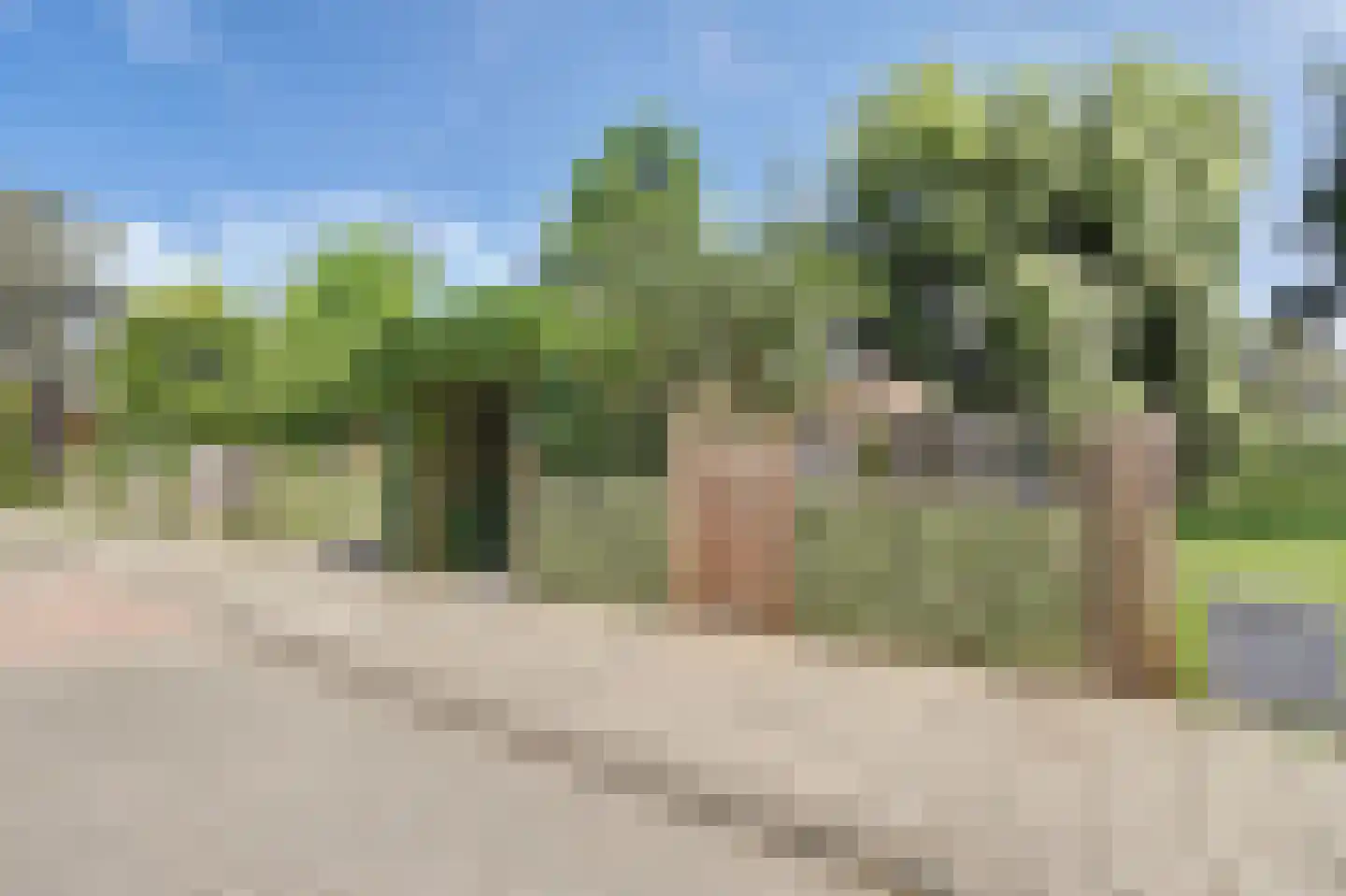 Diederik van Schagenplantsoen 11 Waddinxveen thumbnail 6