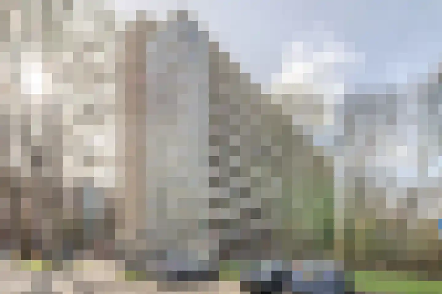 Diederikstraat 10 Gemert thumbnail 12