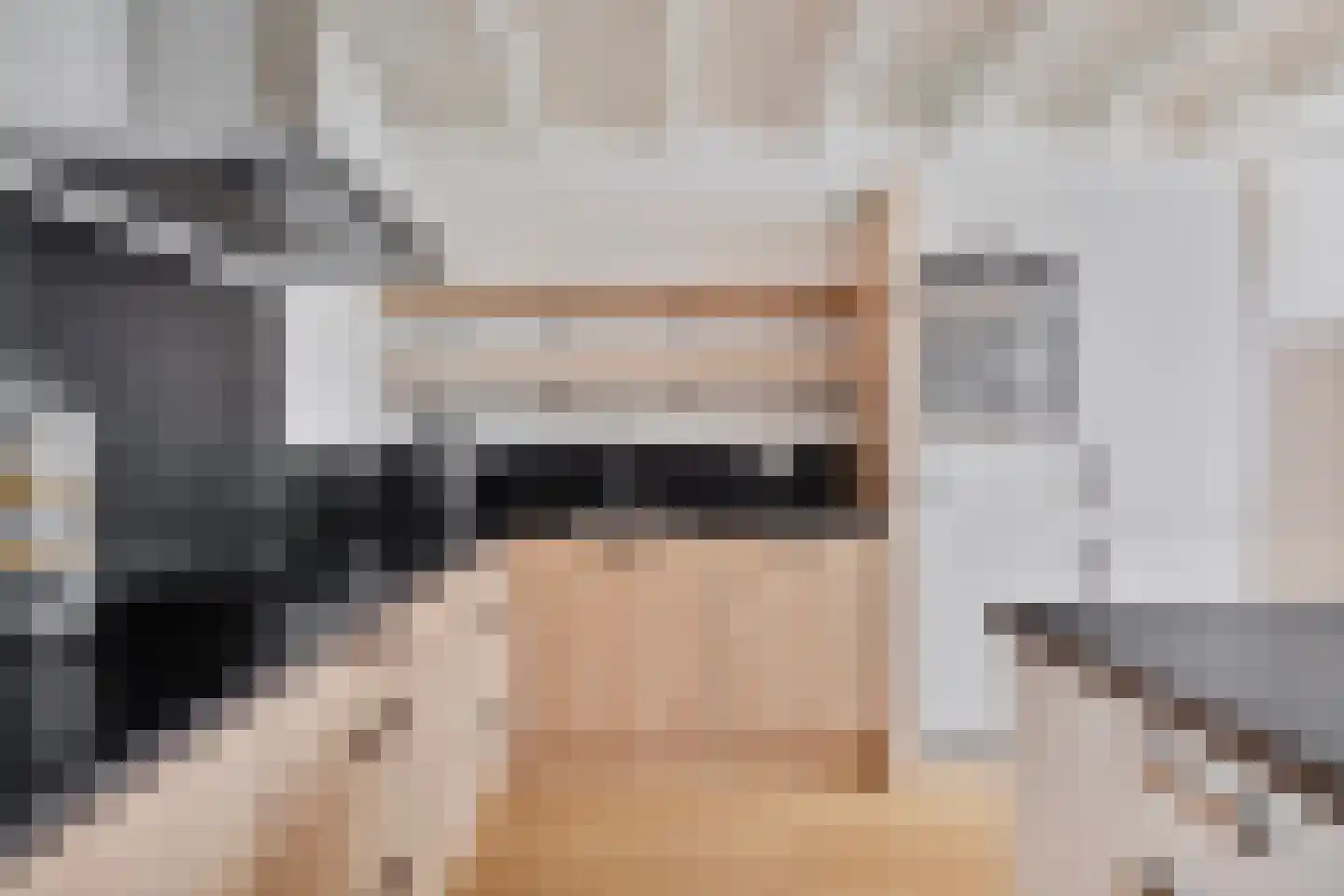 Diederikstraat 10 Gemert thumbnail 13