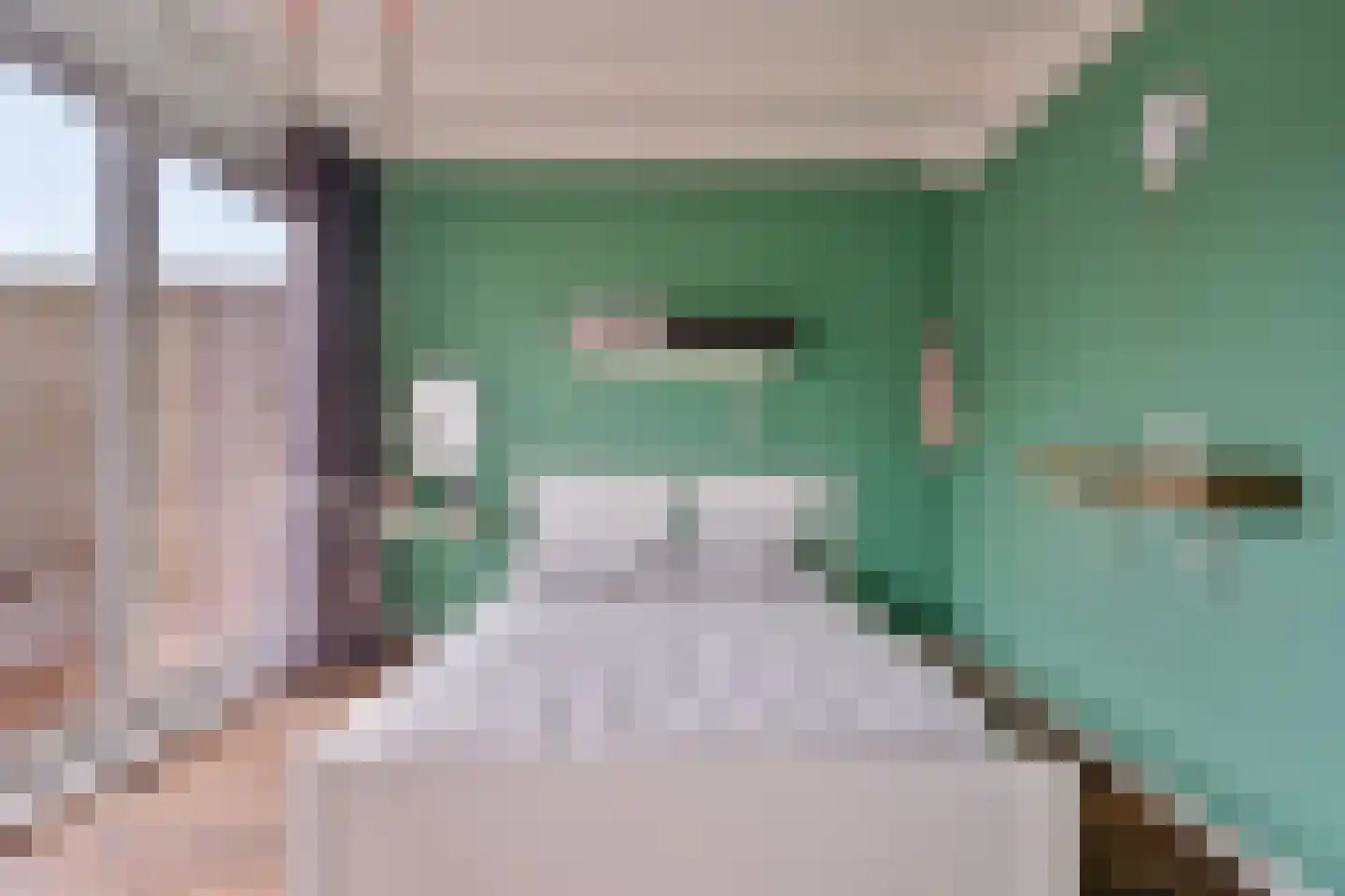 Diederikstraat 10 Gemert thumbnail 19