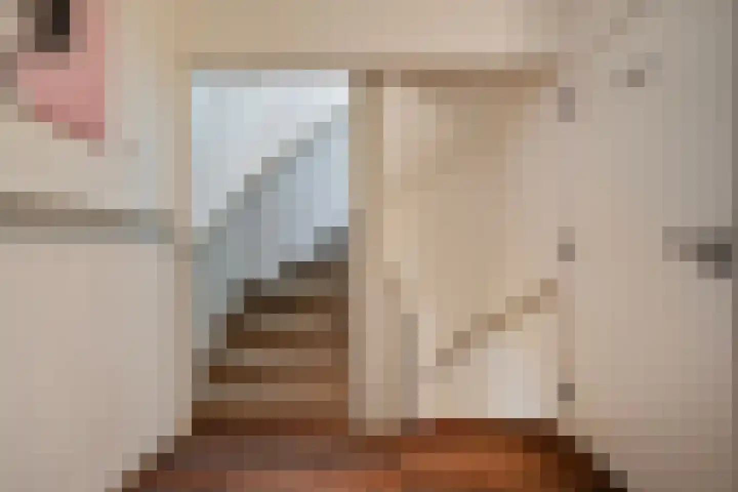 Diederikstraat 10 Gemert thumbnail 25