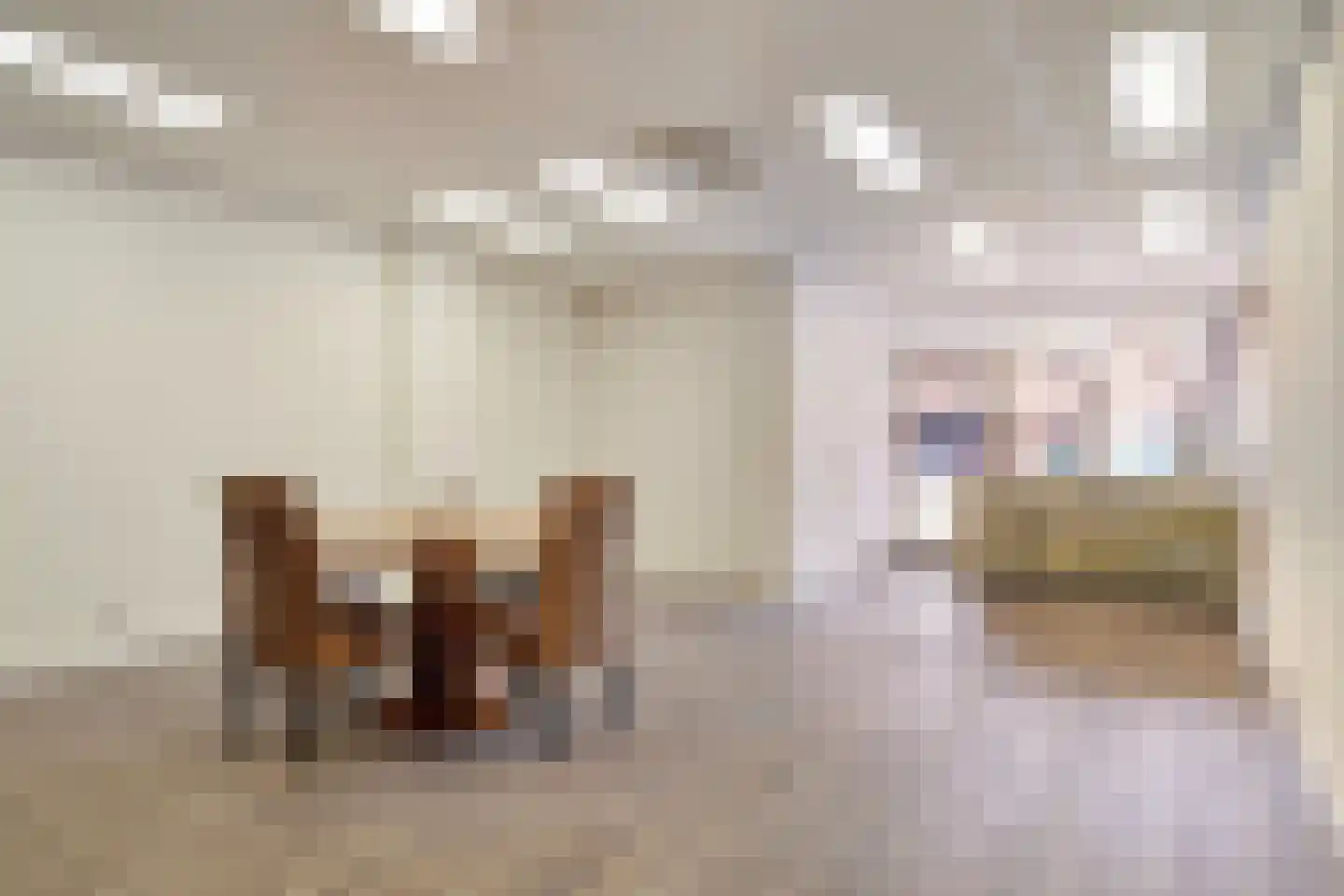 Diederikstraat 10 Gemert thumbnail 33