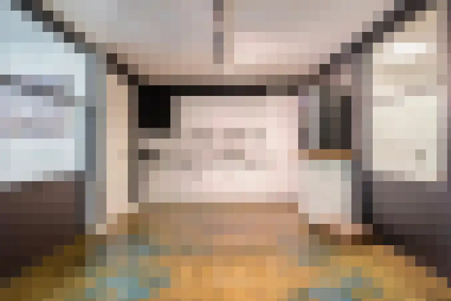 Diederikstraat 10 Gemert thumbnail 35