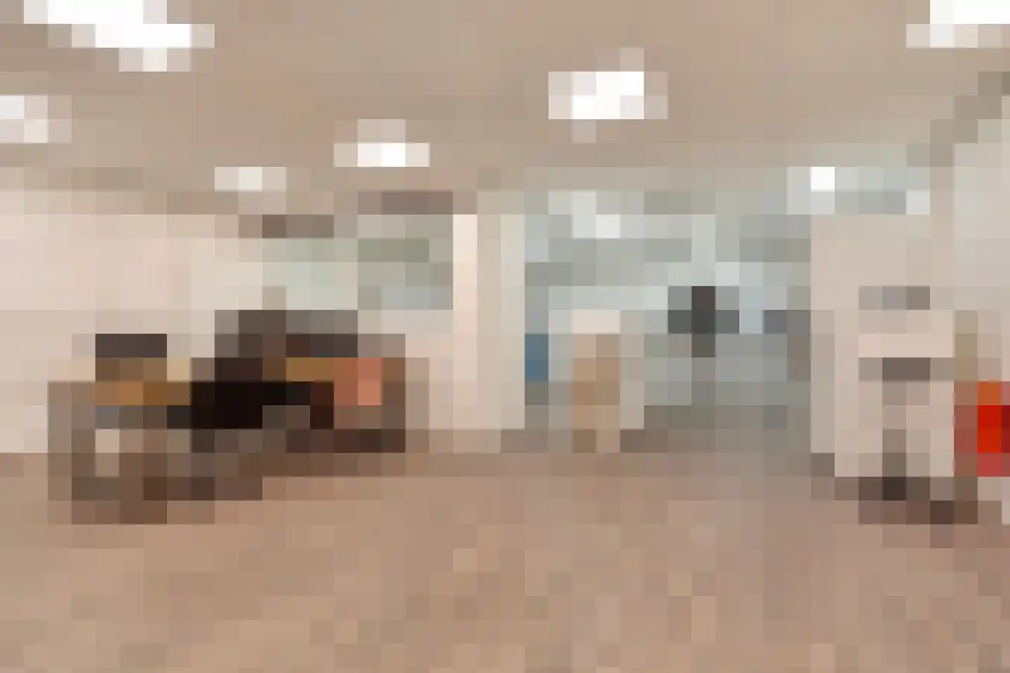 Diederikstraat 10 Gemert thumbnail 38