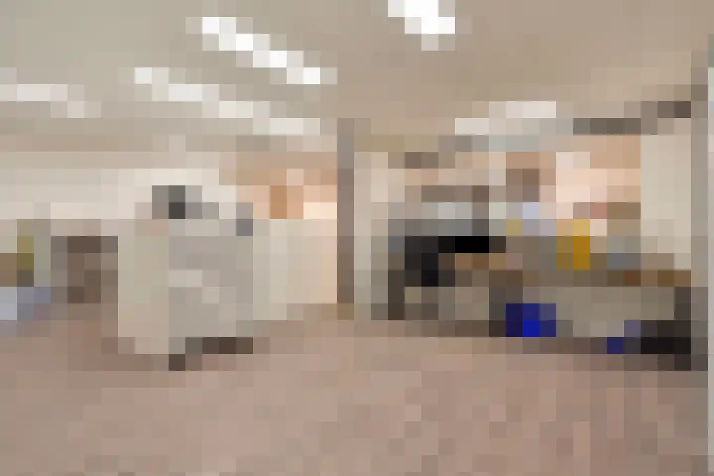 Diederikstraat 10 Gemert thumbnail 40