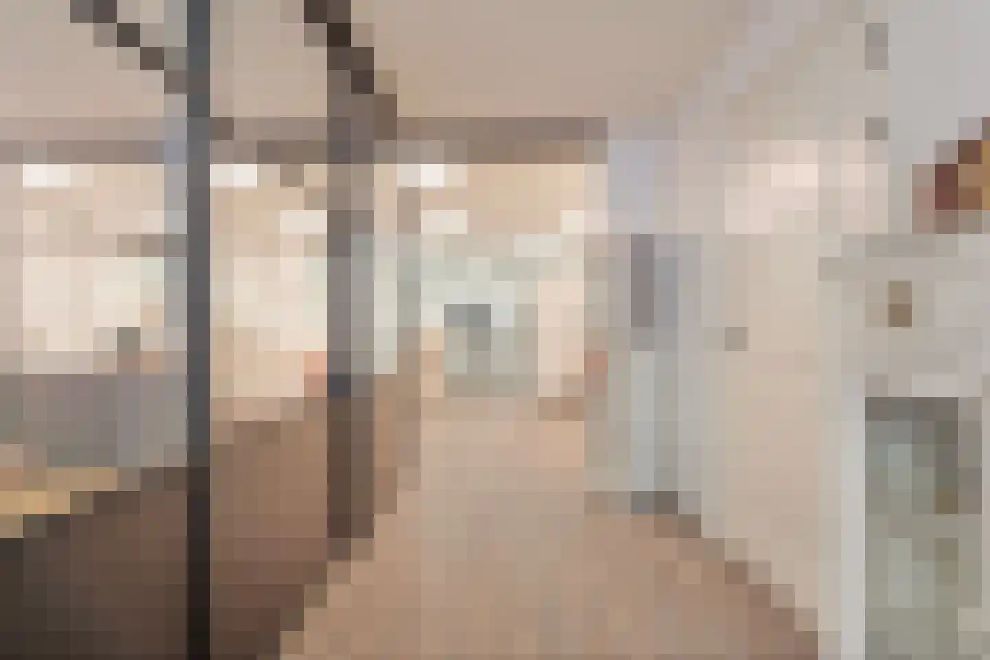 Diederikstraat 10 Gemert thumbnail 42