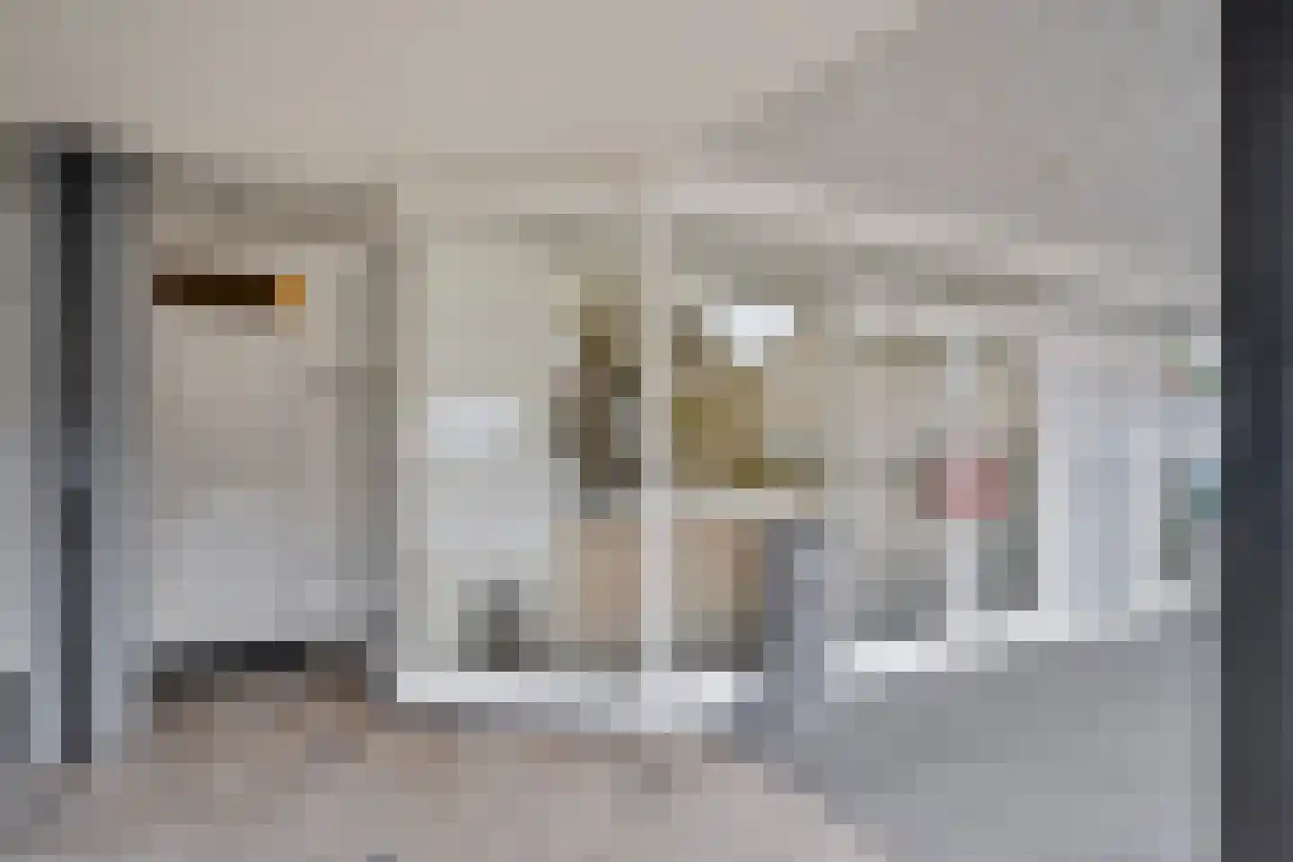 Diederikstraat 10 Gemert thumbnail 5
