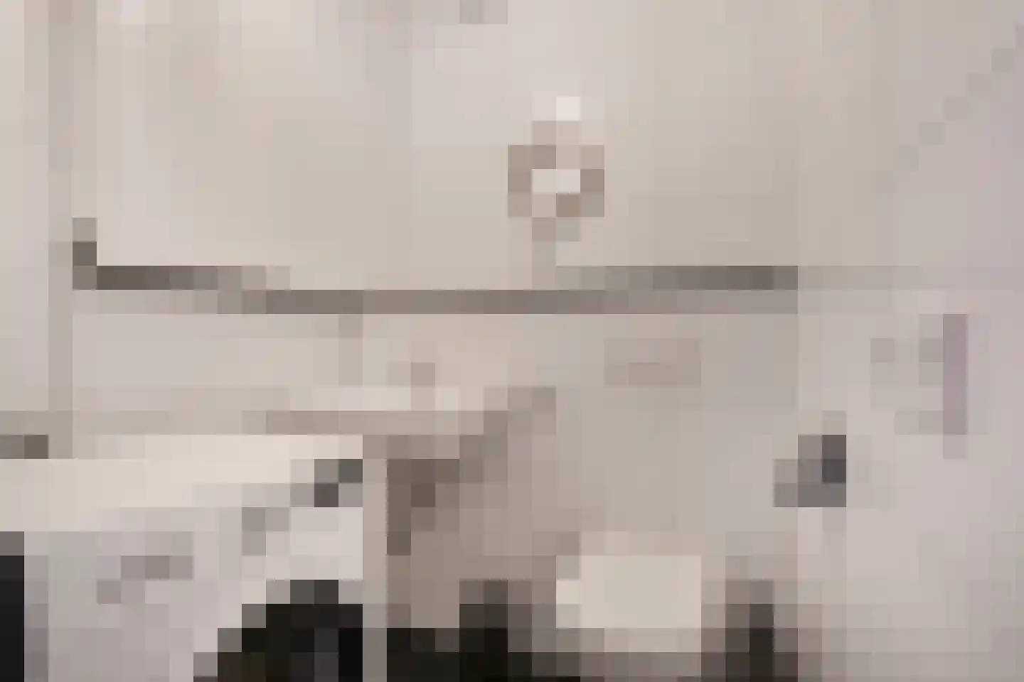 Diederikstraat 10 Gemert thumbnail 8