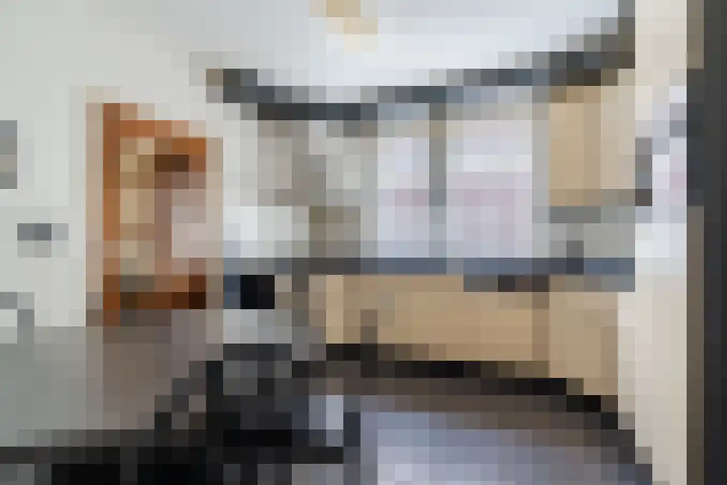 Diederikstraat 25 Gemert thumbnail 10