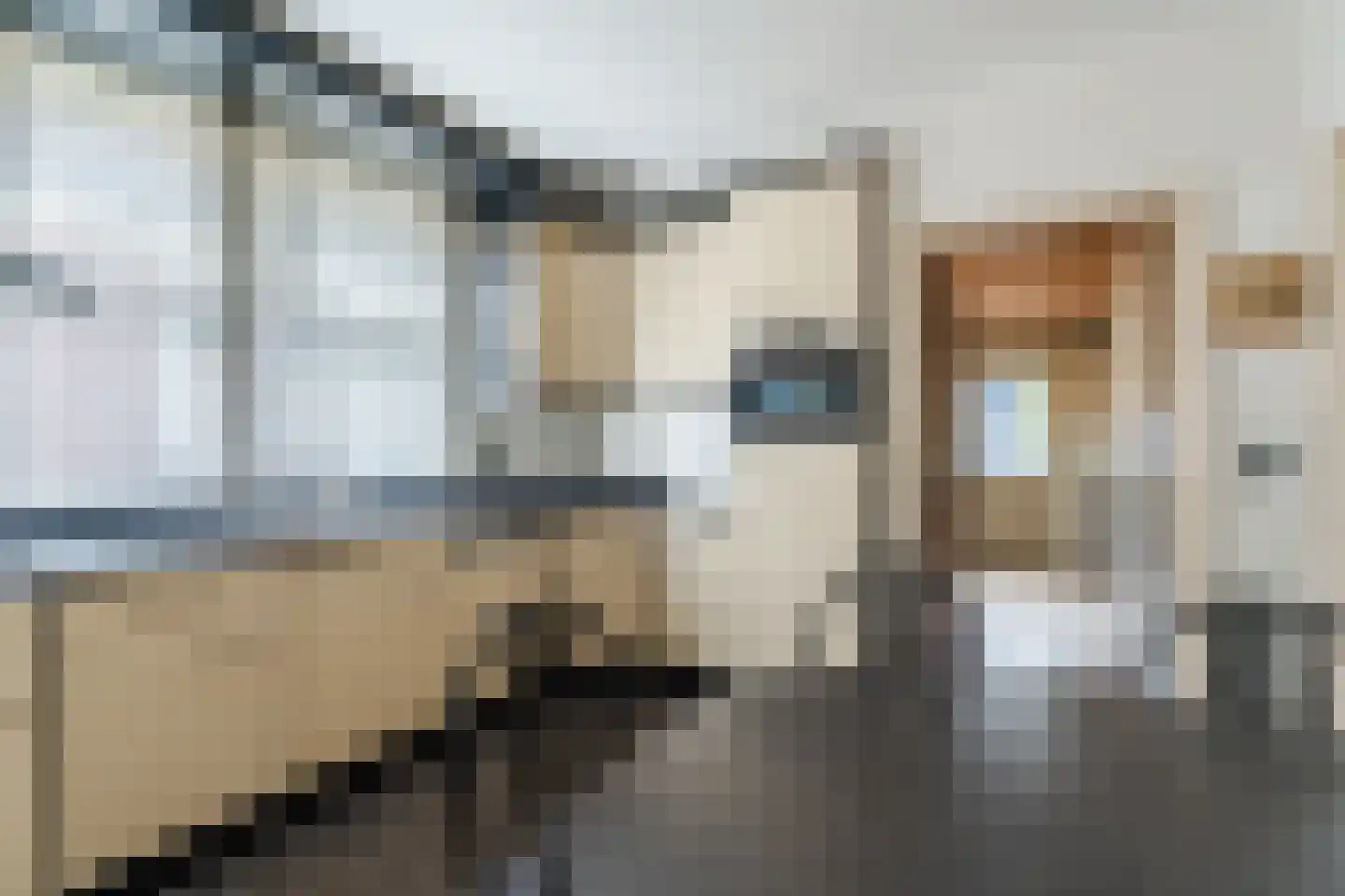 Diederikstraat 25 Gemert thumbnail 11