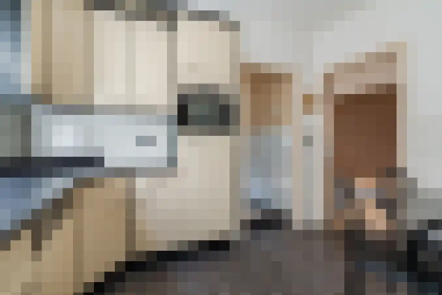 Diederikstraat 25 Gemert thumbnail 12