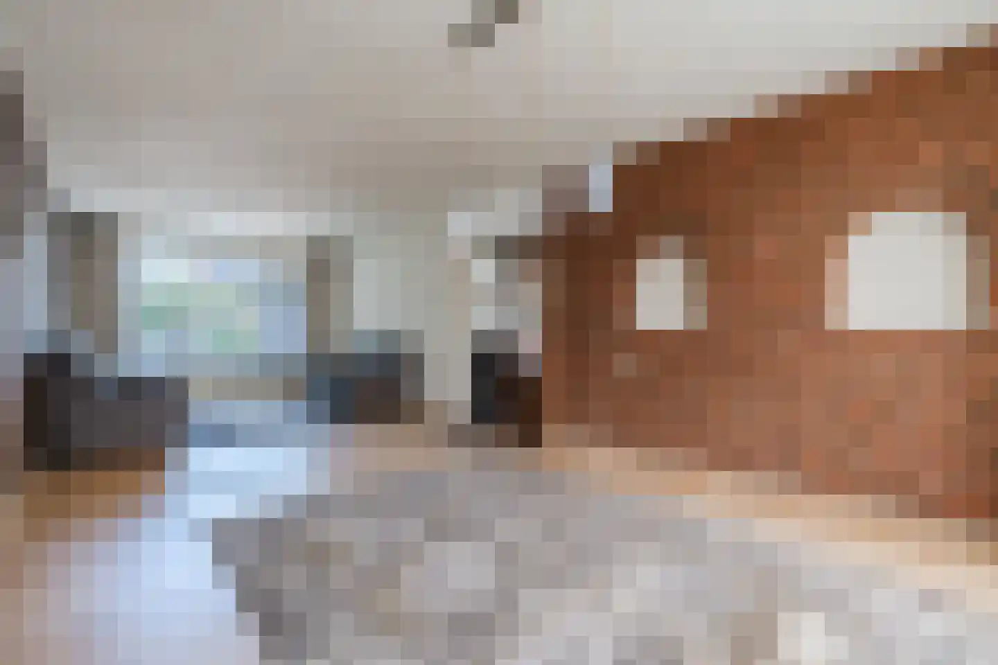 Diederikstraat 25 Gemert thumbnail 20