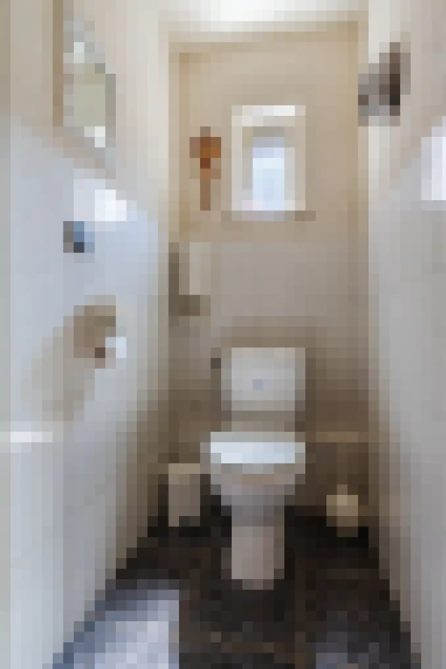 Diederikstraat 25 Gemert thumbnail 24