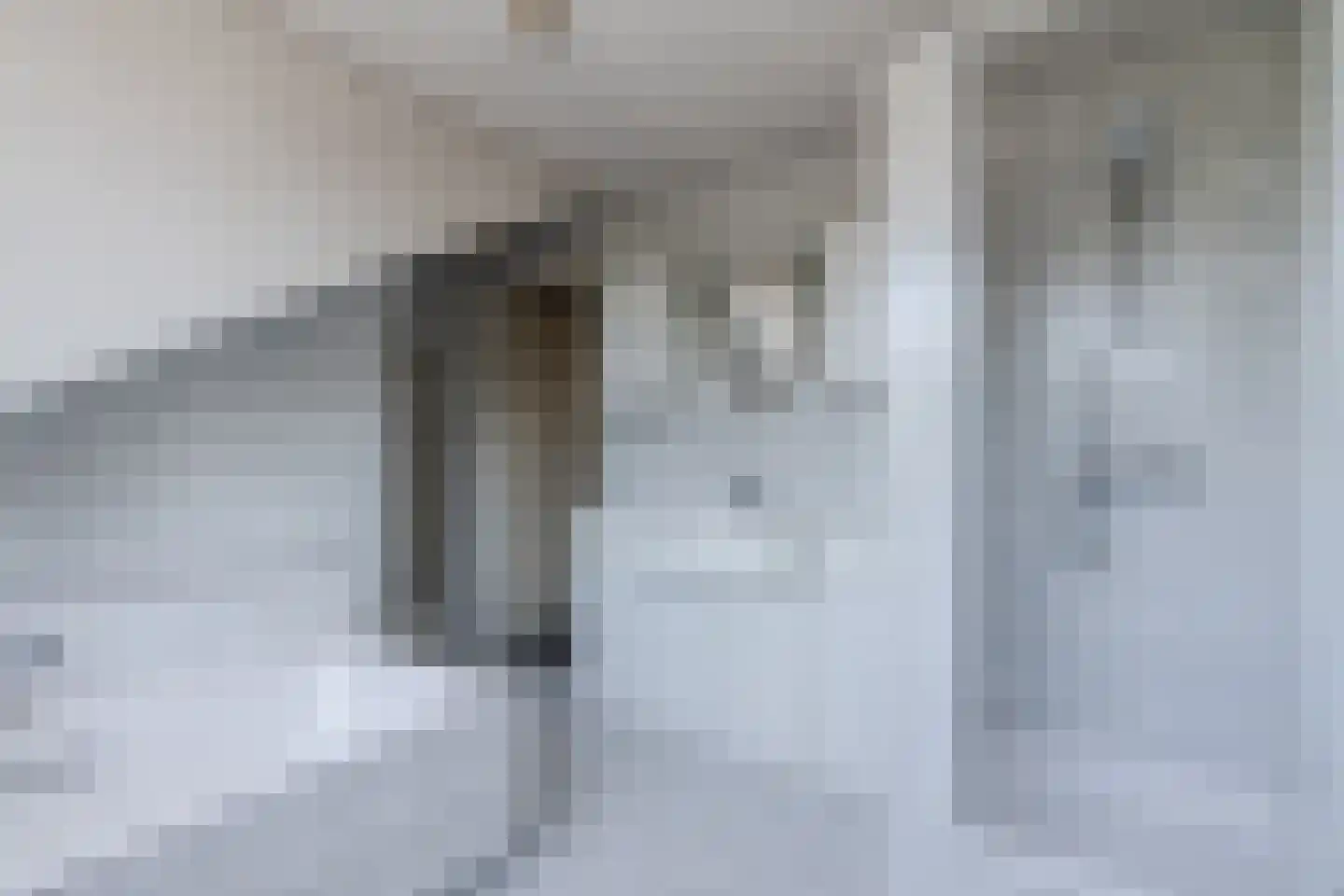 Diederikstraat 25 Gemert thumbnail 32