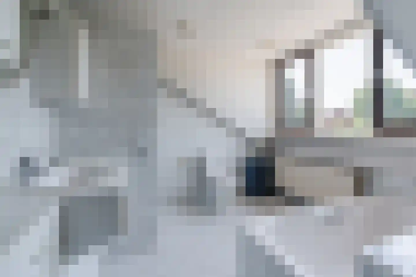 Diederikstraat 25 Gemert thumbnail 34