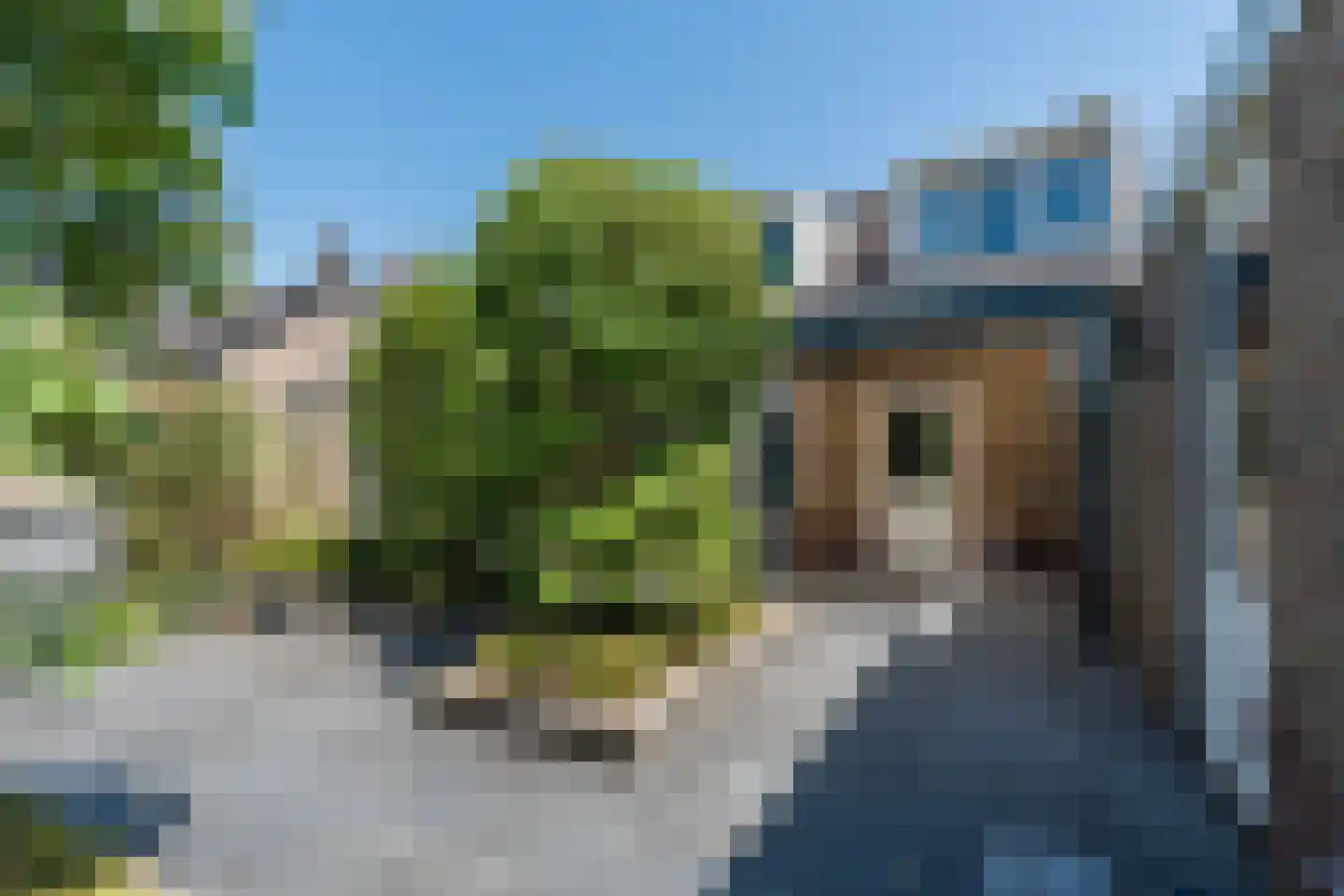 Diederikstraat 25 Gemert thumbnail 36