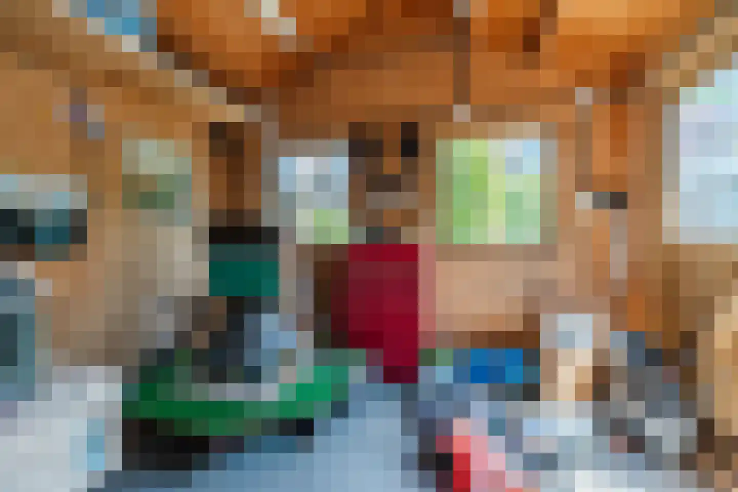 Diederikstraat 25 Gemert thumbnail 42