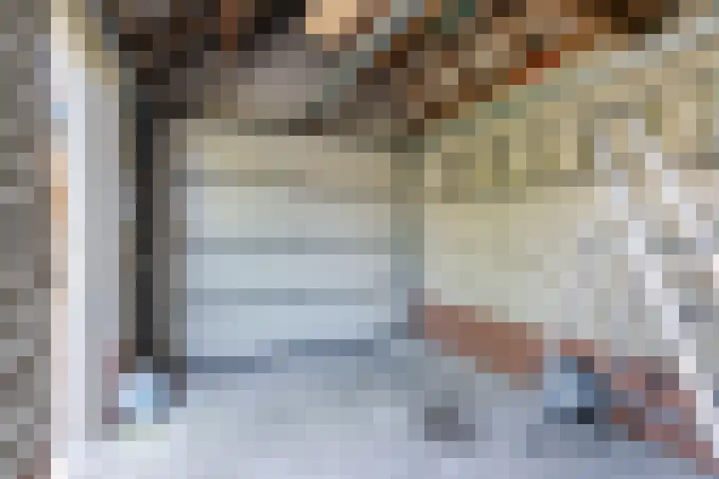 Diederikstraat 25 Gemert thumbnail 30