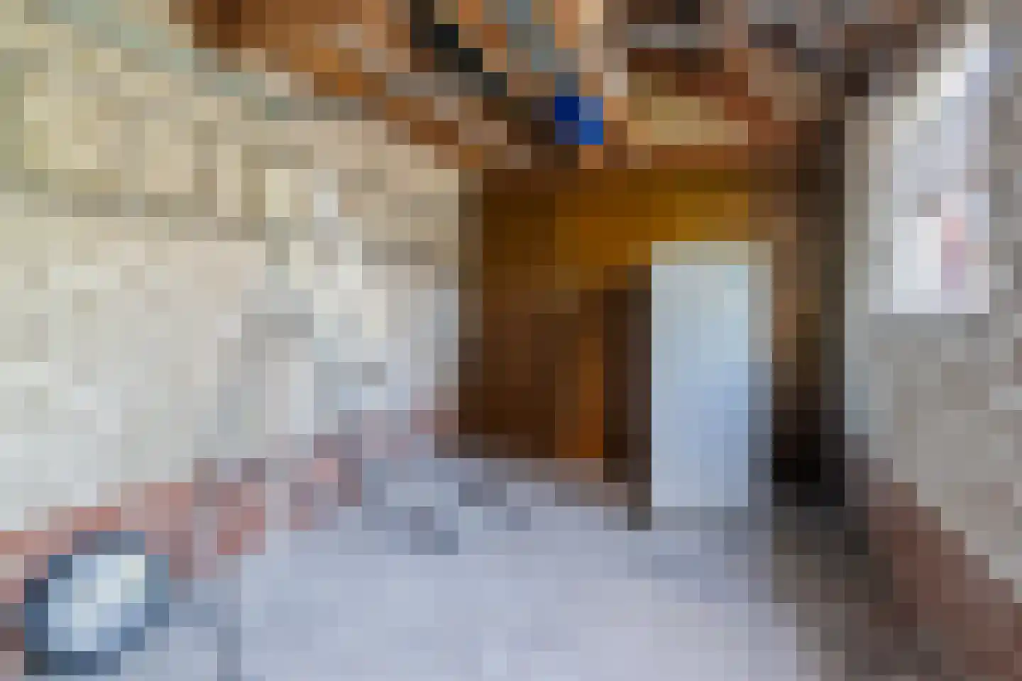 Diederikstraat 25 Gemert thumbnail 31