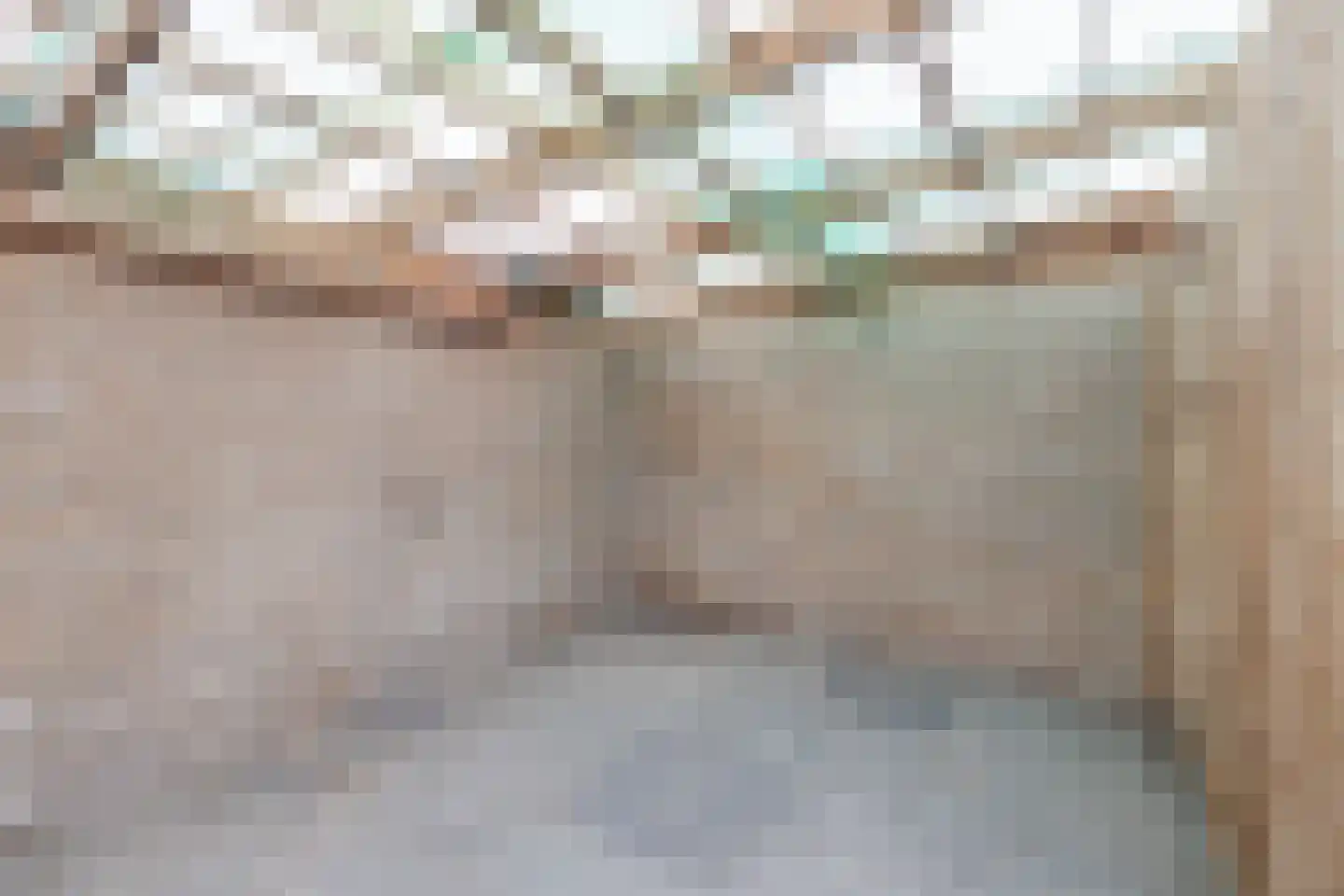 Diederikstraat 25 Gemert thumbnail 33
