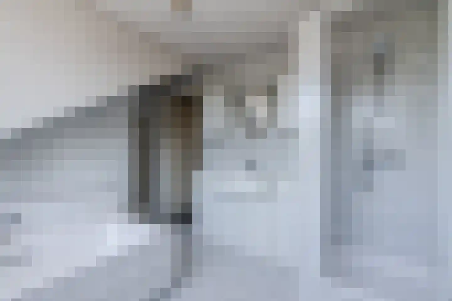 Diederikstraat 25 Gemert thumbnail 5