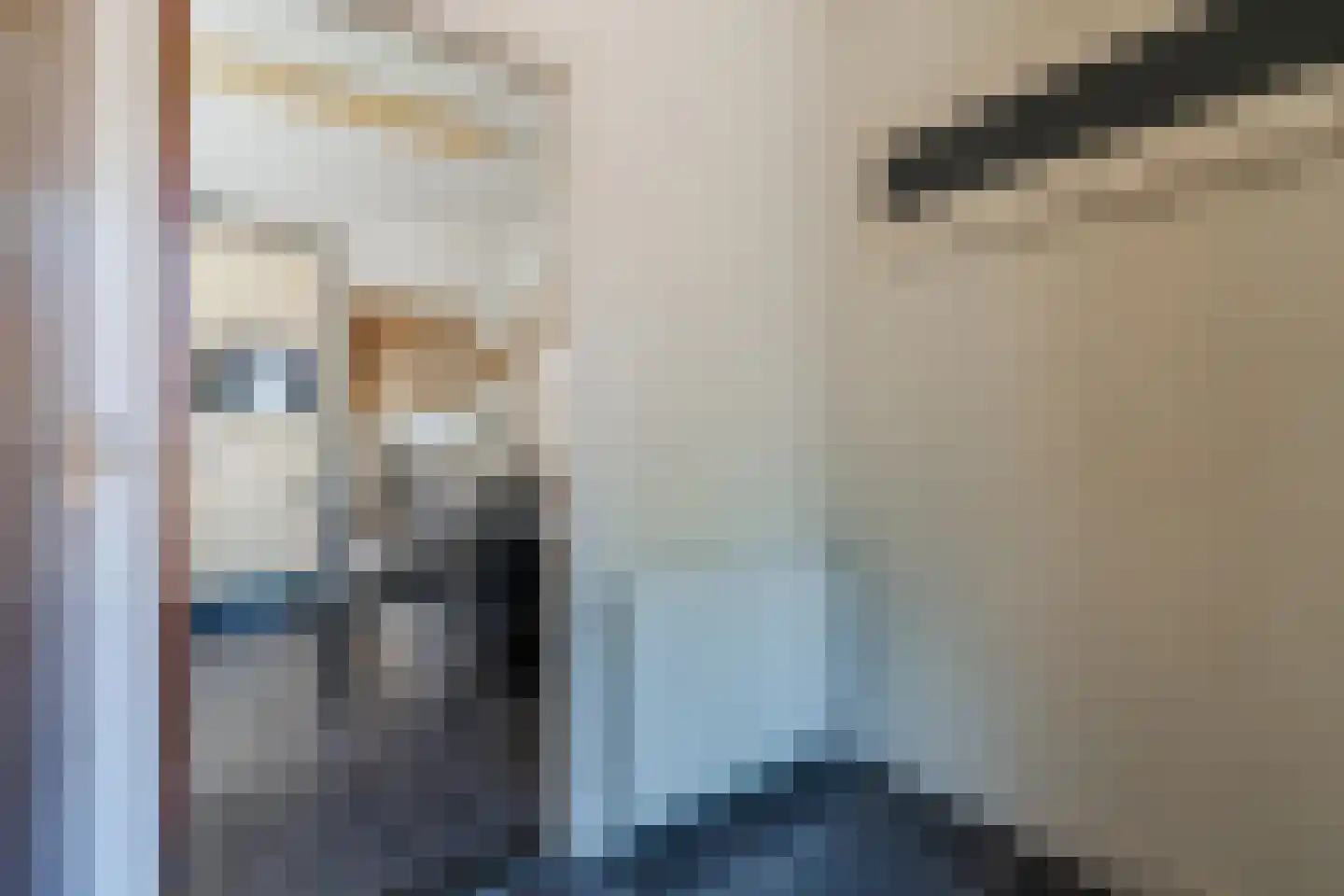 Diederikstraat 25 Gemert thumbnail 7