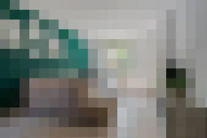 Diederikstraat 28 Gemert thumbnail 10