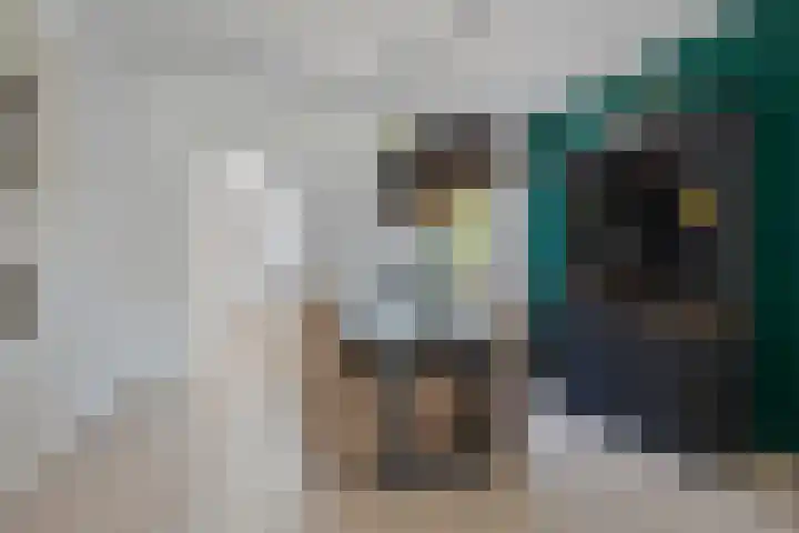 Diederikstraat 28 Gemert thumbnail 12
