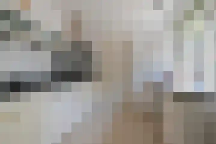 Diederikstraat 28 Gemert thumbnail 16