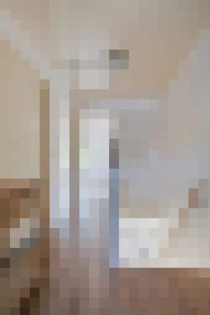 Diederikstraat 28 Gemert thumbnail 21