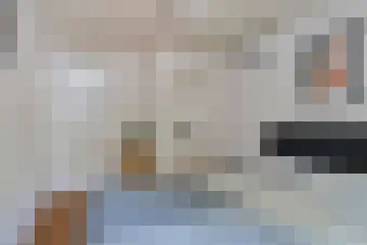 Diederikstraat 28 Gemert thumbnail 24