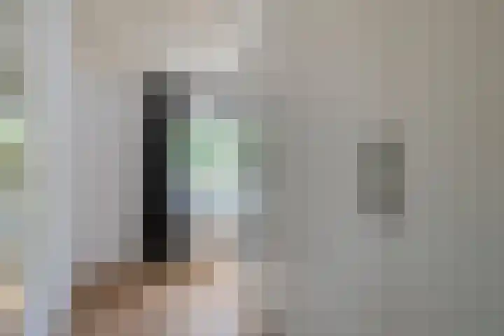 Diederikstraat 28 Gemert thumbnail 29