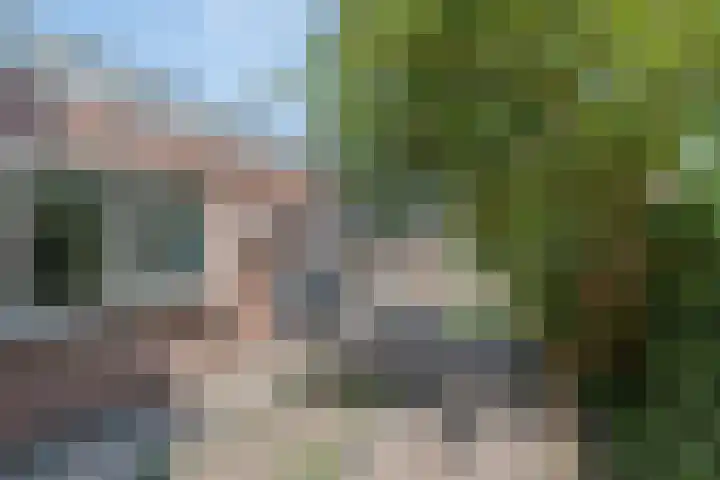 Diederikstraat 28 Gemert thumbnail 30
