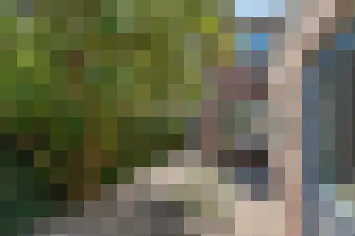 Diederikstraat 28 Gemert thumbnail 34