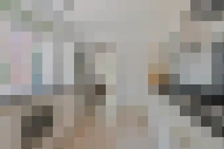 Diederikstraat 28 Gemert thumbnail 4