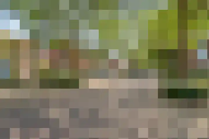 Diederikstraat 28 Gemert thumbnail 8