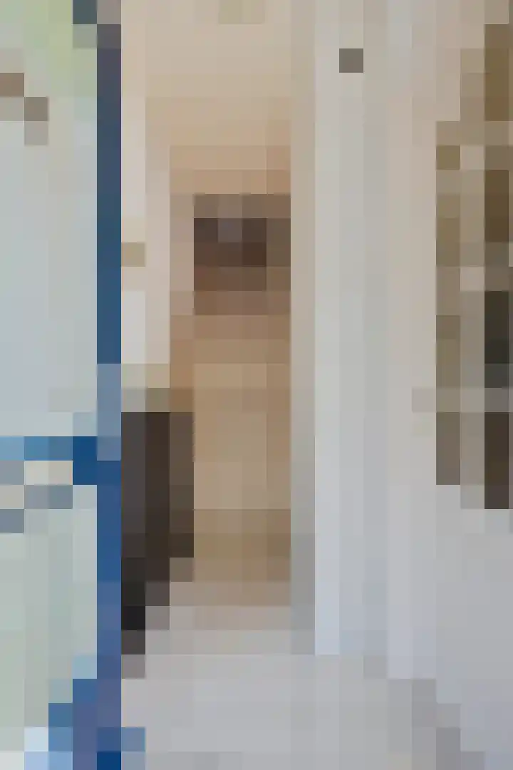 Diederikstraat 28 Gemert thumbnail 9