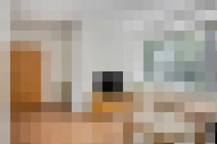 Diederikstraat 32 Gemert thumbnail 11