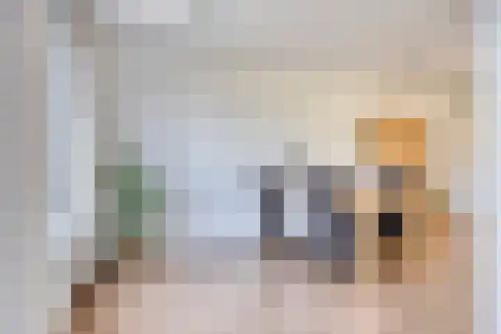 Diederikstraat 32 Gemert thumbnail 14