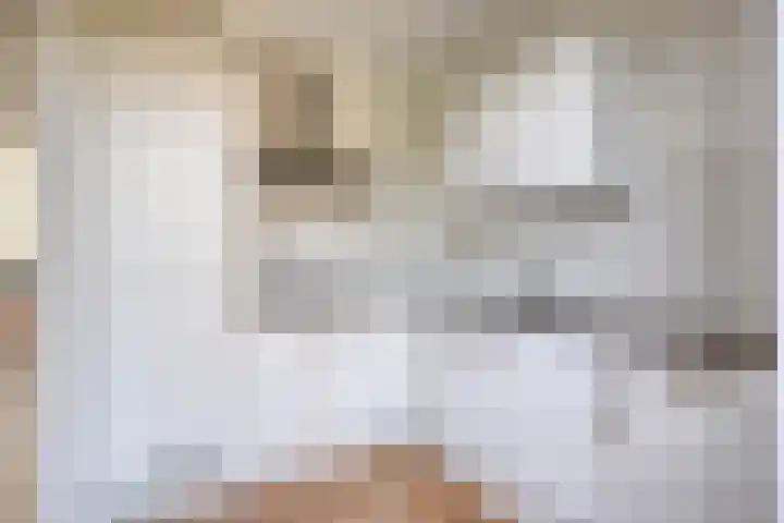 Diederikstraat 32 Gemert thumbnail 17
