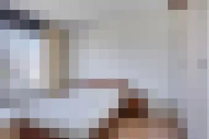 Diederikstraat 32 Gemert thumbnail 20