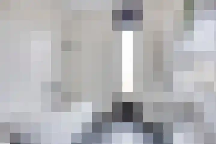 Diederikstraat 32 Gemert thumbnail 25
