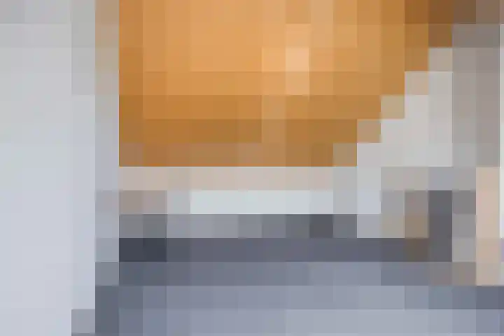 Diederikstraat 32 Gemert thumbnail 27