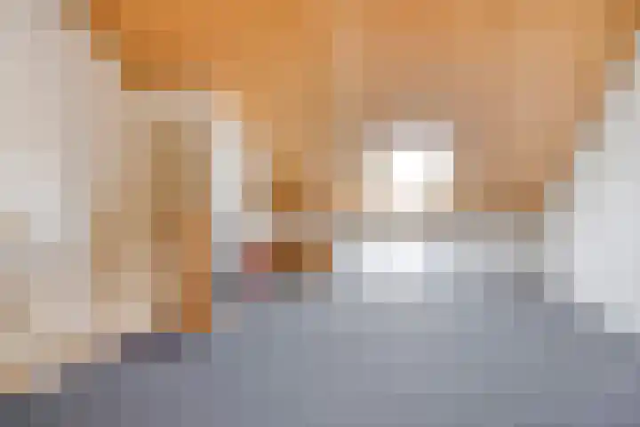 Diederikstraat 32 Gemert thumbnail 28