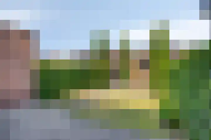 Diederikstraat 32 Gemert thumbnail 29