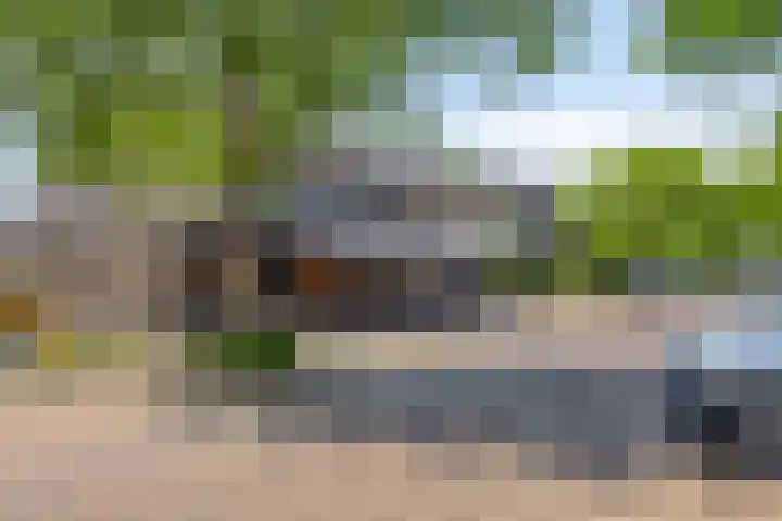 Diederikstraat 32 Gemert thumbnail 34
