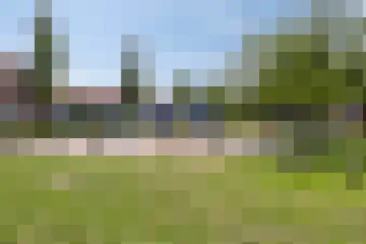 Diederikstraat 32 Gemert thumbnail 36