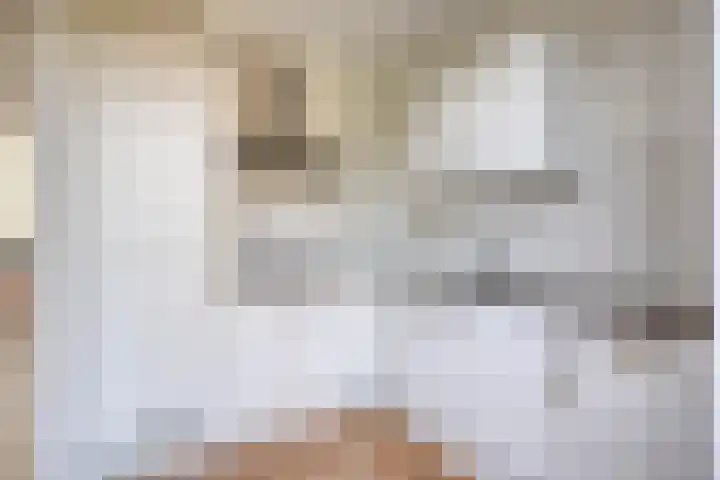 Diederikstraat 32 Gemert thumbnail 4