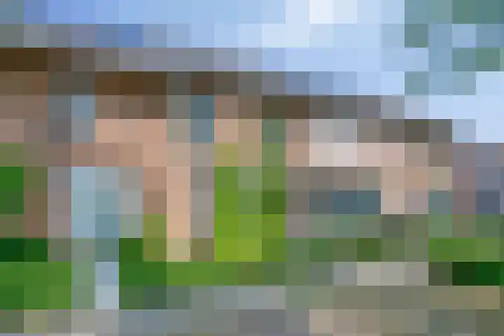 Diederikstraat 32 Gemert thumbnail 7